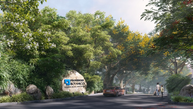 Provident Botanico Images